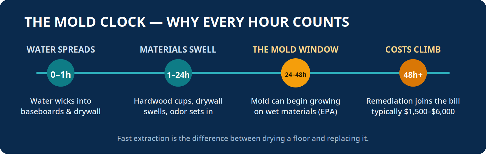 Timeline showing how water damage worsens: water spreads in the first hour, hardwood and drywall swell within 24 hours, mold can grow within 24 to 48 hours, and remediation costs follow